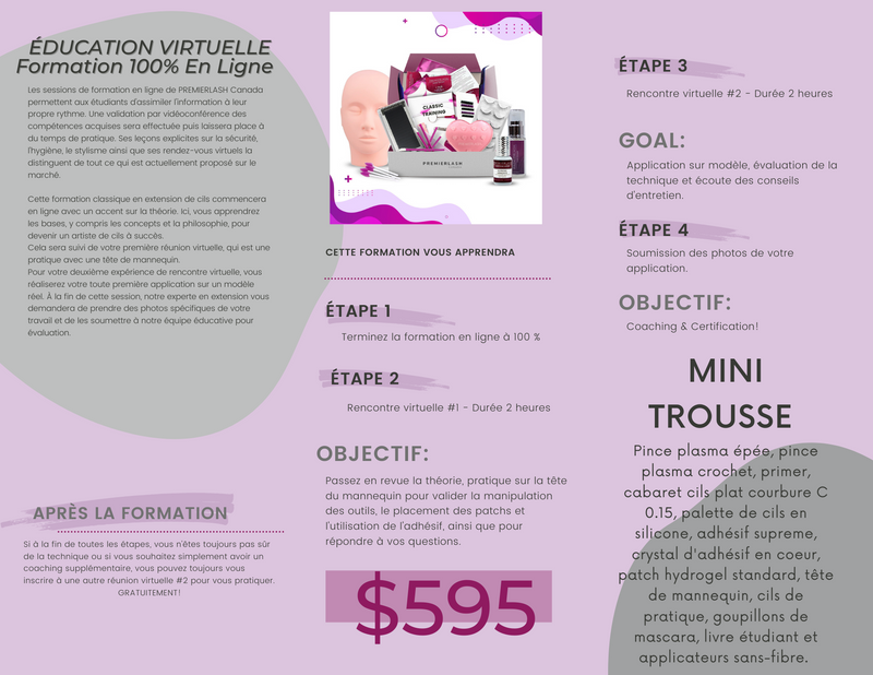 Education pamphlets  - online mini FRANCAIS(50 units)