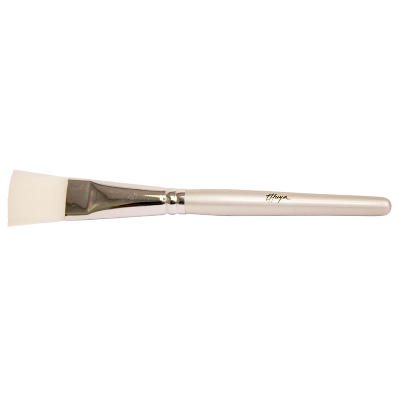 Brosse de nettoyage de la poussière