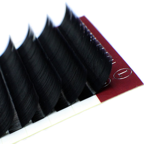 Single L/J Curl Lash Trays