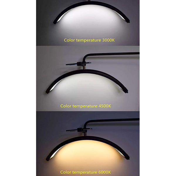 Pro Beauty LED Floor Lamp - Black
